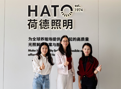 灯光照明行业办公空间焕新就来suncitygroup太阳集团装璜